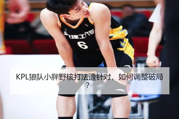 KPL狼队小胖野核打法遭针对，如何调整破局？